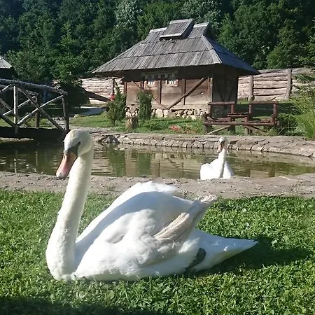 Royal Village Kotromanicevo Gospodarstwo agroturystyczne *